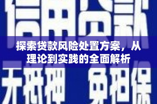 褒忠探索贷款风险处置方案，从理论到实践的全面解析