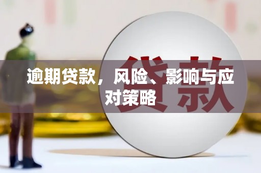 褒忠逾期贷款，风险、影响与应对策略