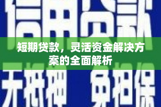褒忠短期贷款，灵活资金解决方案的全面解析