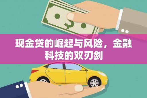 褒忠现金贷的崛起与风险，金融科技的双刃剑