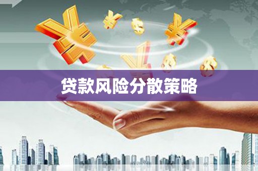 褒忠贷款风险分散策略