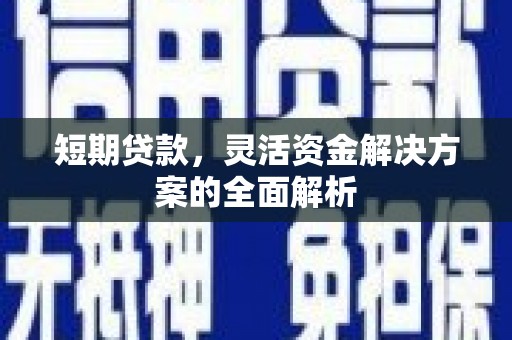 褒忠短期贷款，灵活资金解决方案的全面解析