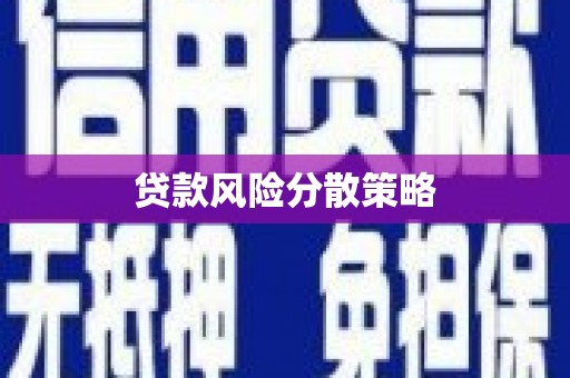 褒忠贷款风险分散策略