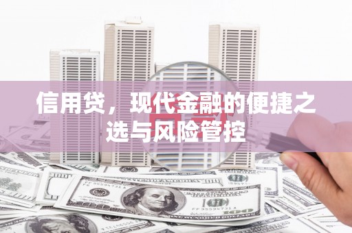 褒忠信用贷，现代金融的便捷之选与风险管控