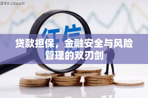 褒忠贷款担保，金融安全与风险管理的双刃剑