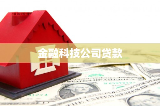 褒忠金融科技公司贷款