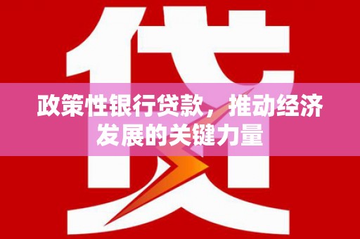 褒忠政策性银行贷款，推动经济发展的关键力量