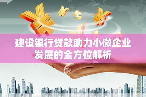 褒忠建设银行贷款助力小微企业发展的全方位解析