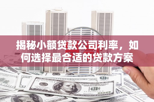 褒忠揭秘小额贷款公司利率，如何选择最合适的贷款方案