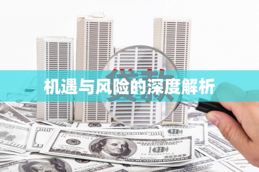 褒忠机遇与风险的深度解析