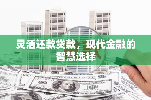 褒忠灵活还款贷款，现代金融的智慧选择