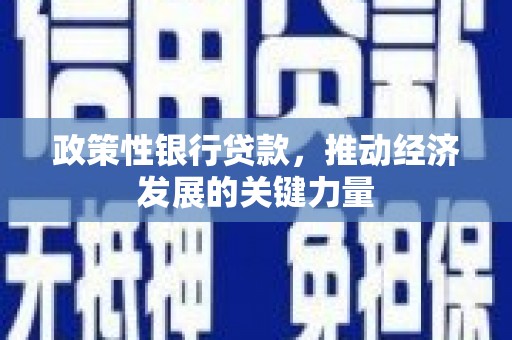 褒忠政策性银行贷款，推动经济发展的关键力量
