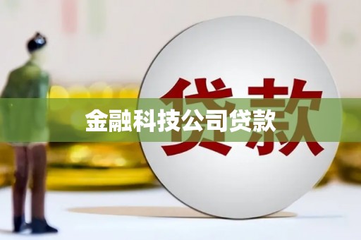 褒忠金融科技公司贷款