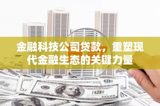 褒忠金融科技公司贷款，重塑现代金融生态的关键力量