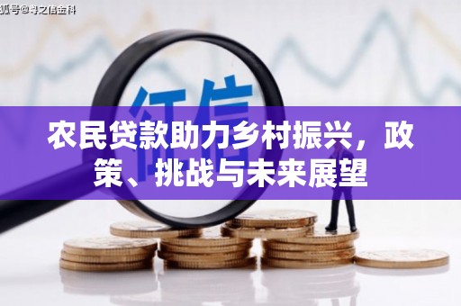 褒忠农民贷款助力乡村振兴，政策、挑战与未来展望