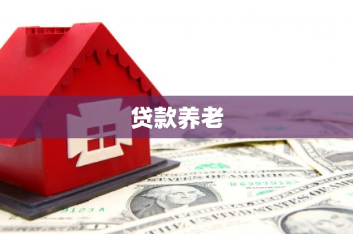 褒忠贷款养老