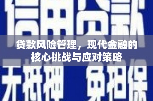 褒忠贷款风险管理，现代金融的核心挑战与应对策略