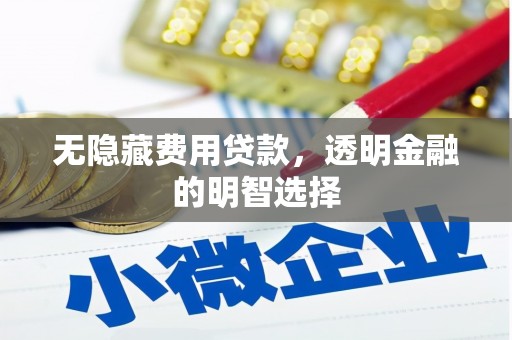 褒忠无隐藏费用贷款，透明金融的明智选择