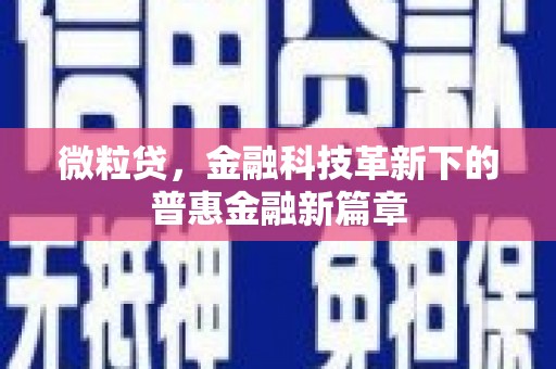褒忠微粒贷，金融科技革新下的普惠金融新篇章