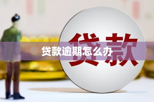 褒忠贷款逾期怎么办