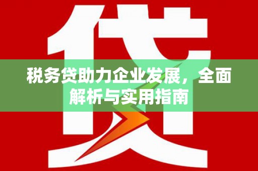 褒忠税务贷助力企业发展，全面解析与实用指南