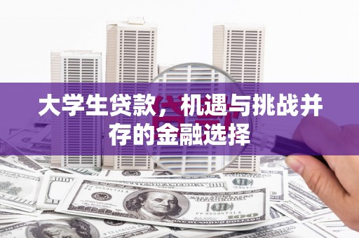 褒忠大学生贷款，机遇与挑战并存的金融选择