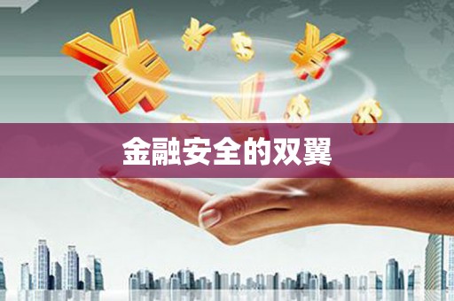 褒忠金融安全的双翼