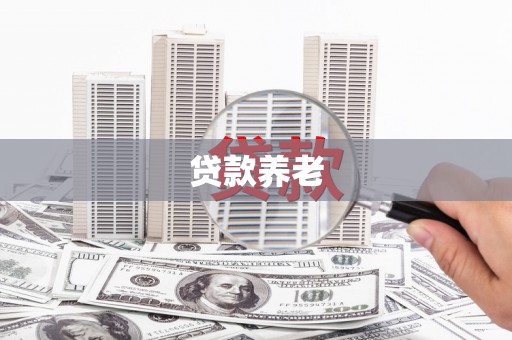 褒忠贷款养老