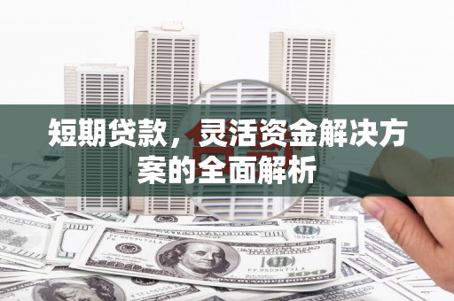 褒忠短期贷款，灵活资金解决方案的全面解析