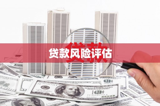褒忠贷款风险评估