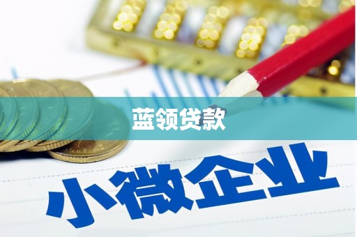 褒忠蓝领贷款