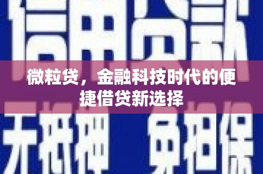 褒忠微粒贷，金融科技时代的便捷借贷新选择