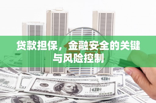 褒忠贷款担保，金融安全的关键与风险控制
