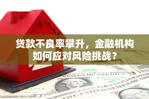褒忠贷款不良率攀升，金融机构如何应对风险挑战？