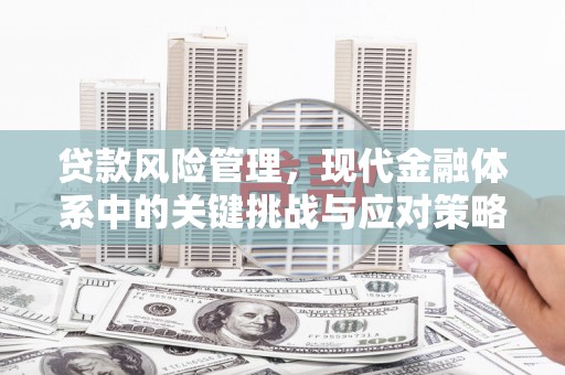 褒忠贷款风险管理，现代金融体系中的关键挑战与应对策略