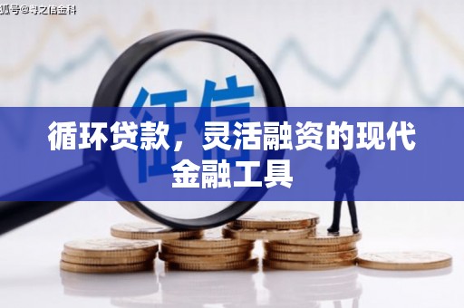 褒忠循环贷款，灵活融资的现代金融工具