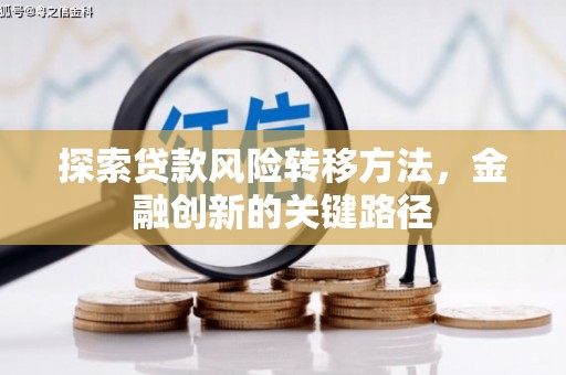 褒忠探索贷款风险转移方法，金融创新的关键路径
