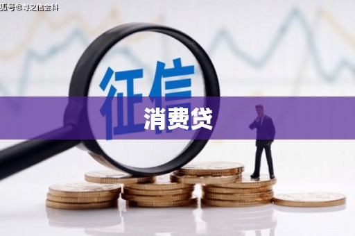 褒忠消费贷