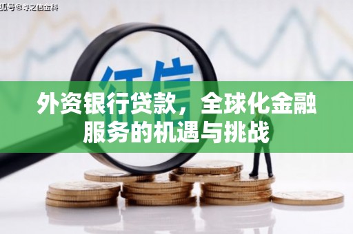 褒忠外资银行贷款，全球化金融服务的机遇与挑战