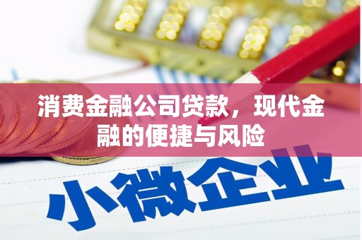 褒忠消费金融公司贷款，现代金融的便捷与风险