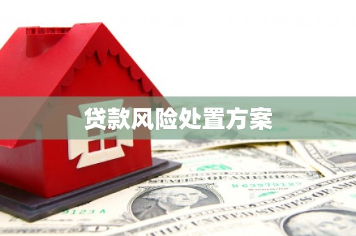 褒忠贷款风险处置方案