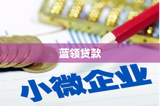 褒忠蓝领贷款