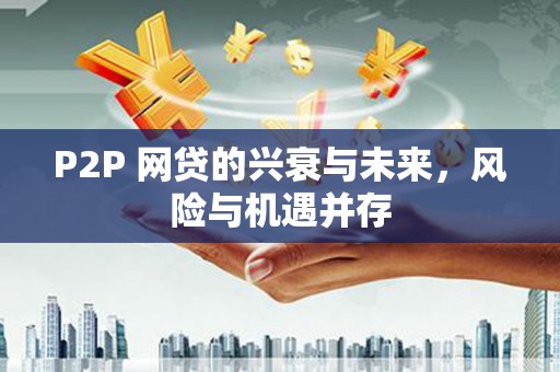 褒忠P2P 网贷的兴衰与未来，风险与机遇并存