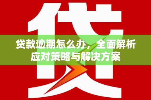 褒忠贷款逾期怎么办，全面解析应对策略与解决方案