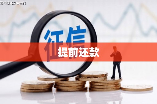褒忠提前还款