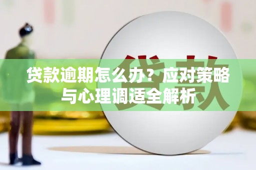 褒忠贷款逾期怎么办？应对策略与心理调适全解析