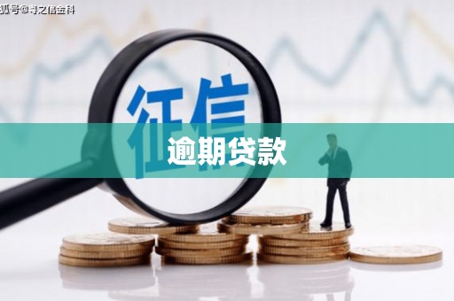褒忠逾期贷款