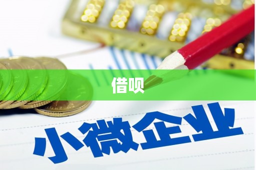 褒忠借呗