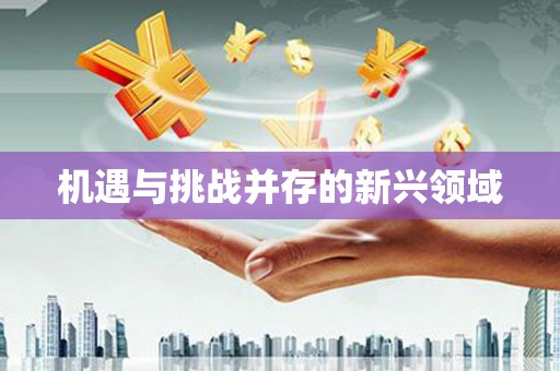 褒忠机遇与挑战并存的新兴领域