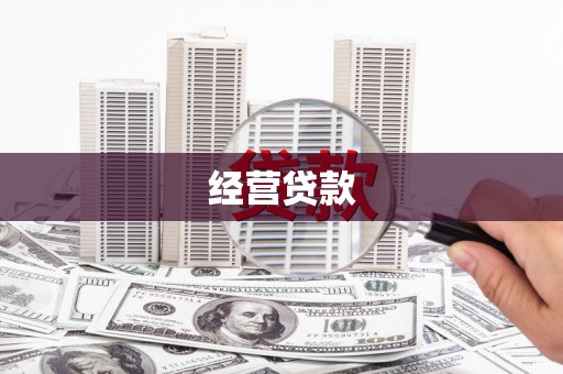 褒忠经营贷款